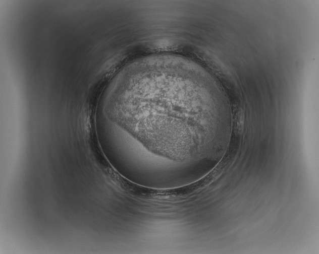 X0000111940746200908101201