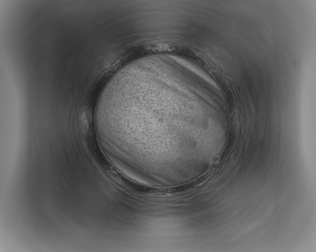 X0000111940747200908101201