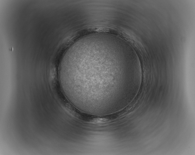 X0000111940748200908101201