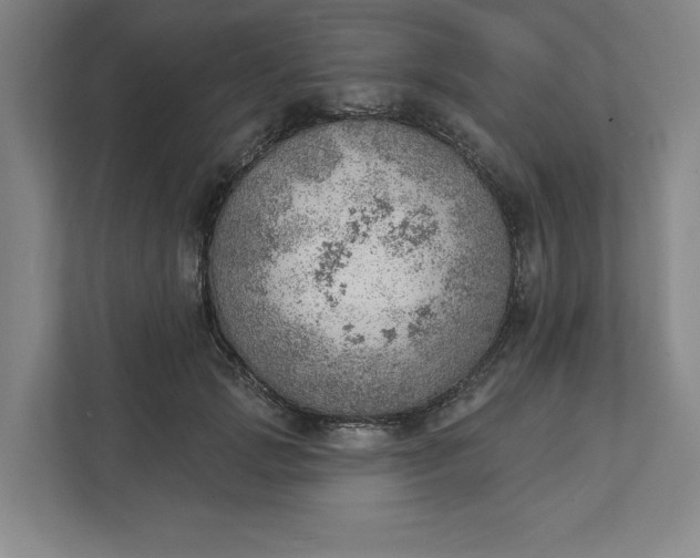 X0000111940749200908101201