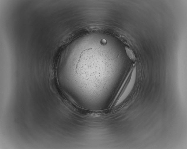 X0000111940751200908101202