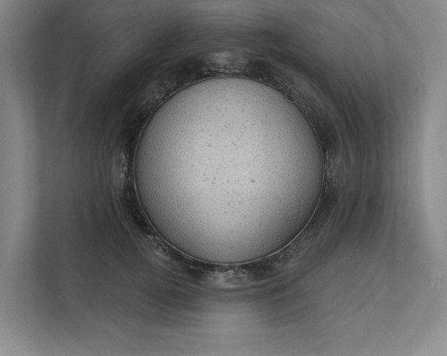 X0000111940752200908101202