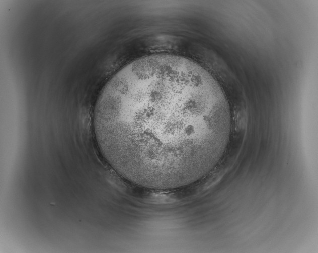 X0000111940753200908101202