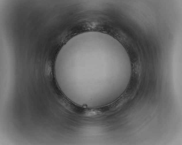 X0000111940754200908101202