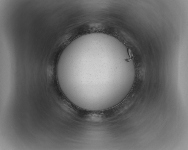 X0000111940756200908101202