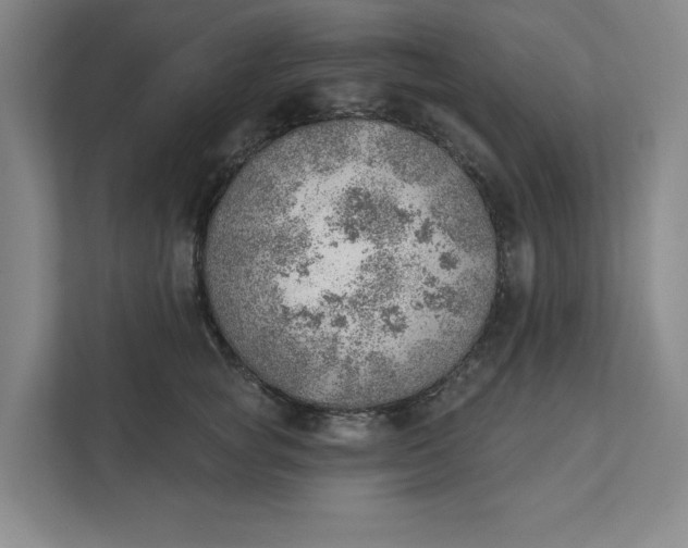 X0000111940757200908101202