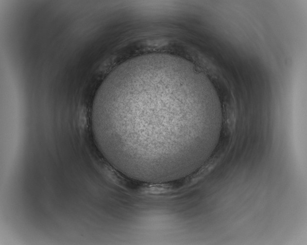 X0000111940758200908101202