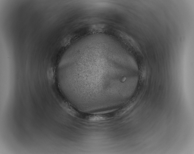 X0000111940759200908101202