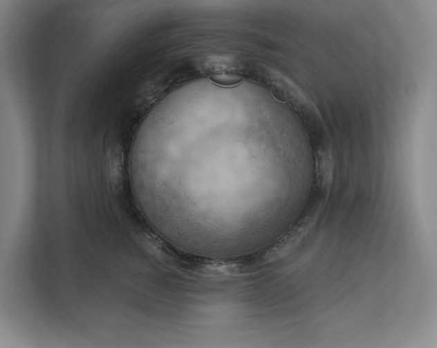 X0000111940760200908101202