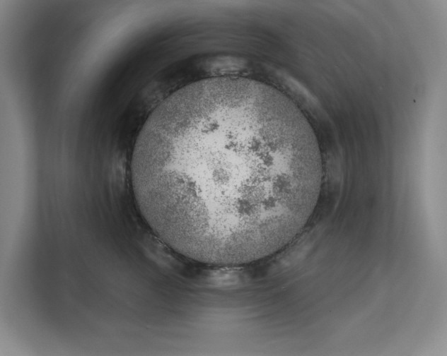 X0000111940761200908101202