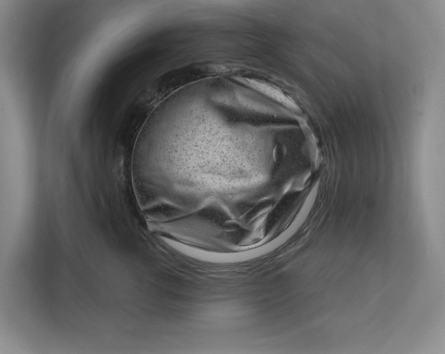 X0000111940762200908101202