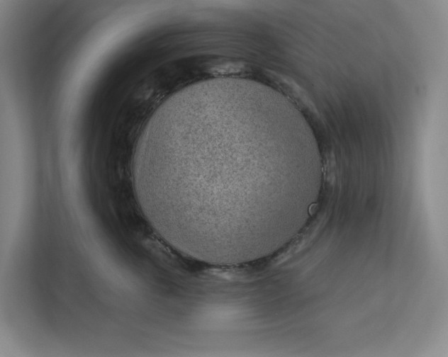 X0000111940763200908101202