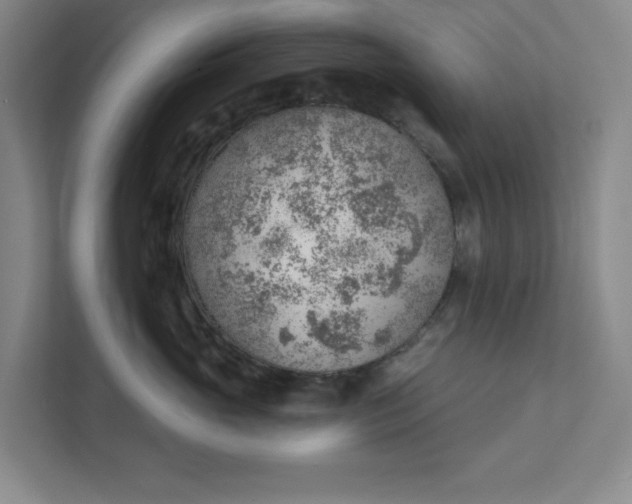 X0000111940765200908101202