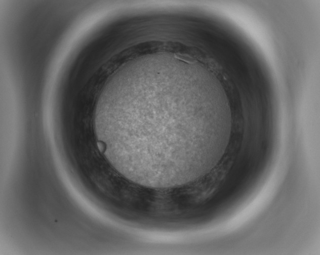 X0000111940766200908101202