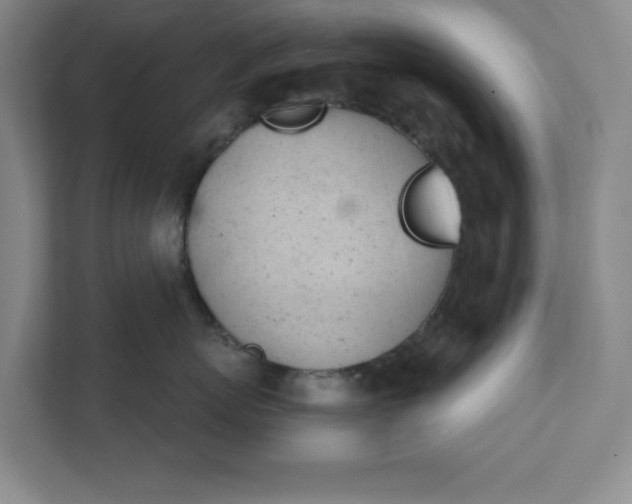 X0000111940767200908101202