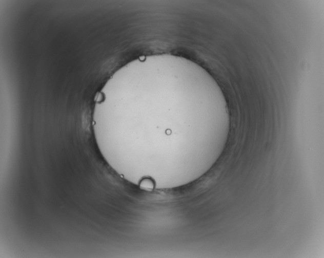 X0000111940768200908101202