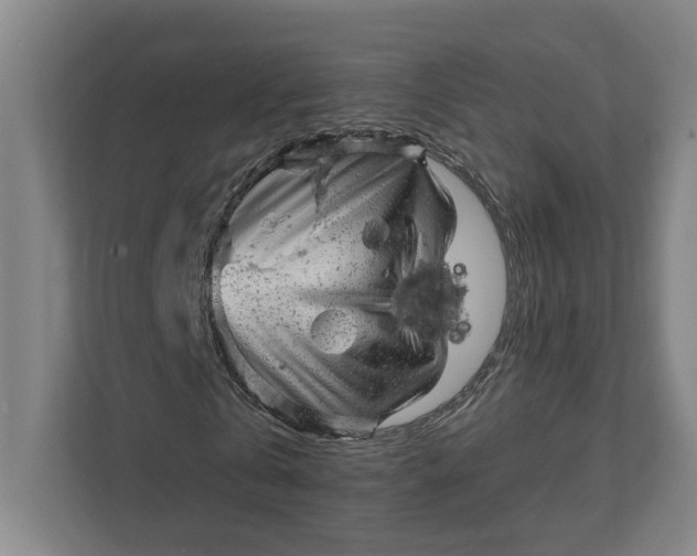 X0000111940769200908101201