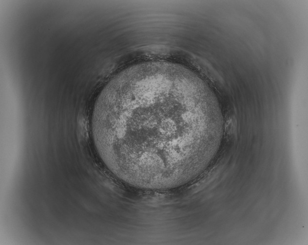 X0000111940772200908101201