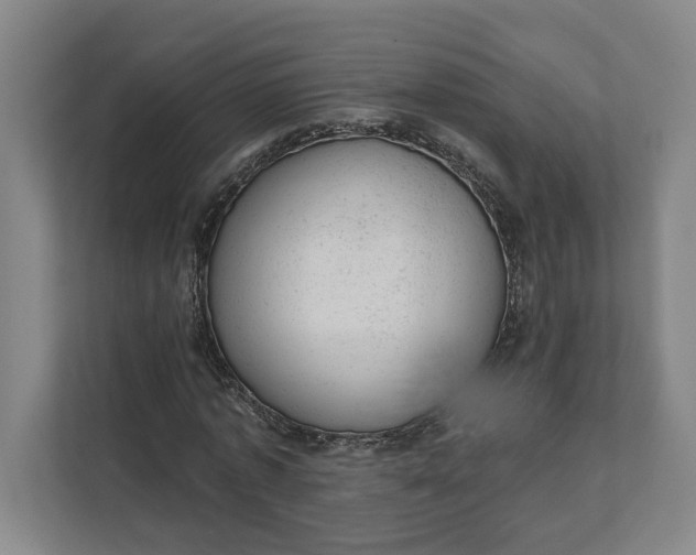 X0000111940773200908101201