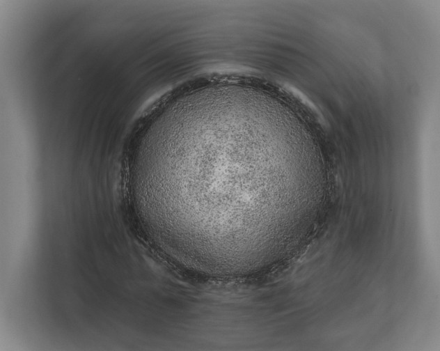 X0000111940775200908101201