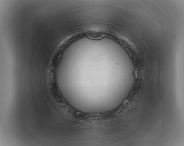 X0000111940776200908101201