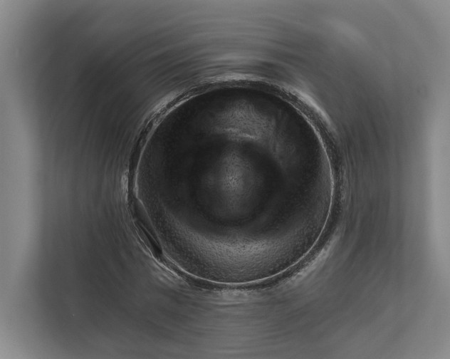 X0000111940777200908101201