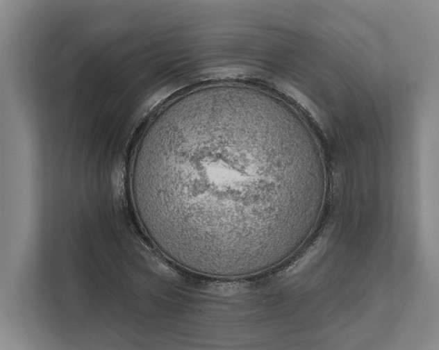 X0000111940778200908101201