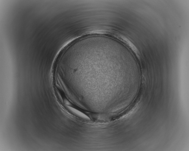 X0000111940779200908101201