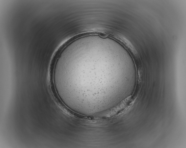 X0000111940780200908101201