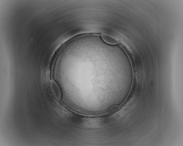 X0000111940781200908101201