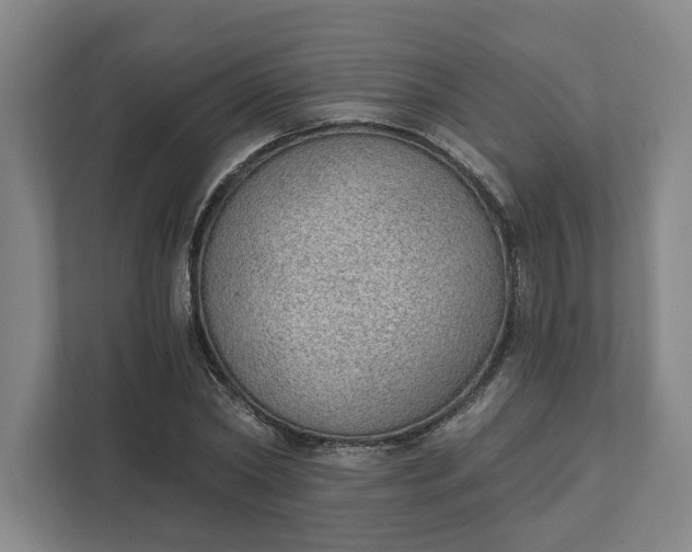 X0000111940782200908101201