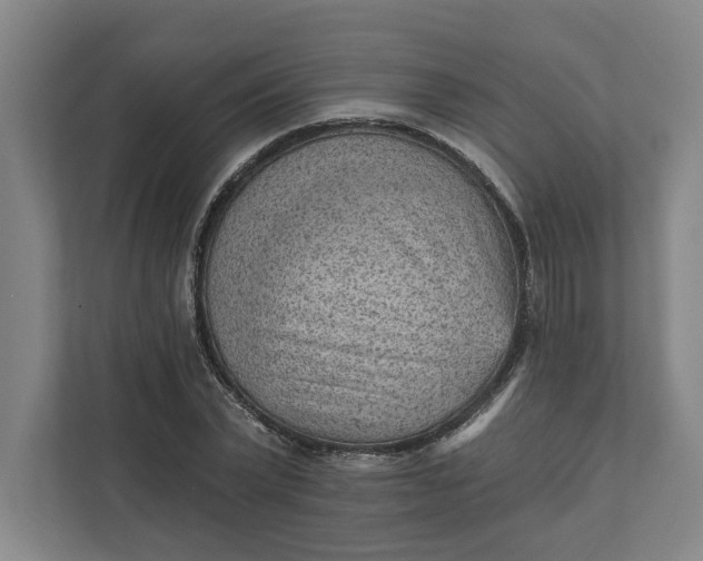 X0000111940783200908101201