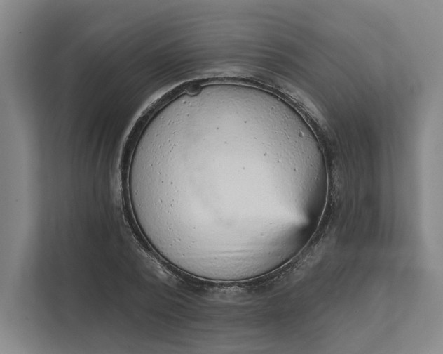 X0000111940784200908101201