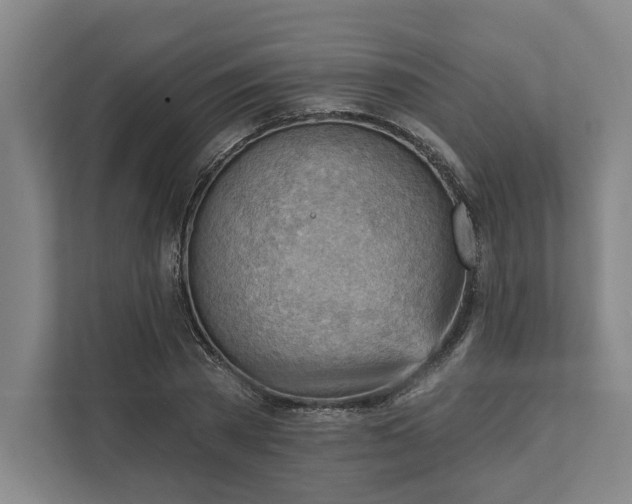 X0000111940785200908101201