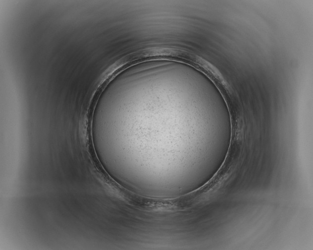 X0000111940786200908101201