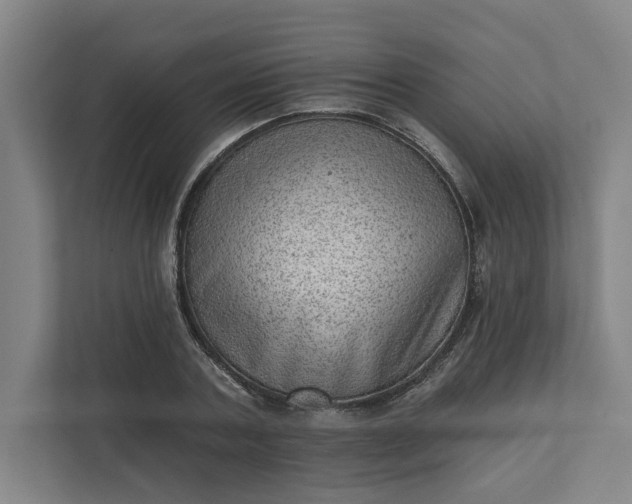 X0000111940787200908101201