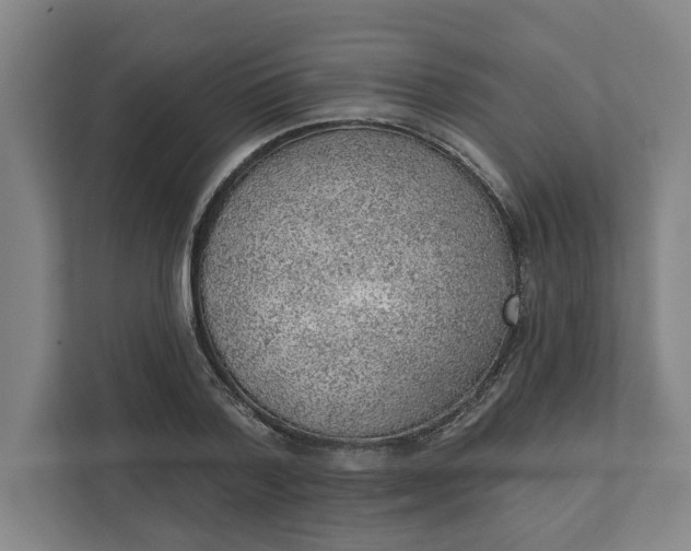 X0000111940788200908101201