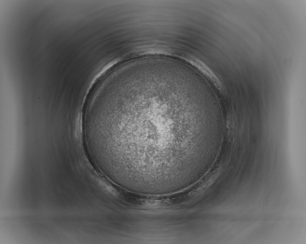 X0000111940790200908101201