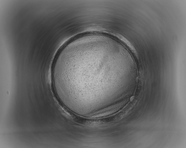 X0000111940791200908101201