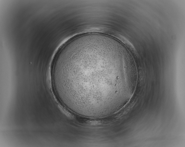 X0000111940792200908101201