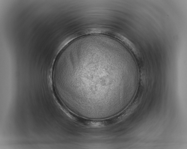 X0000111940794200908101201