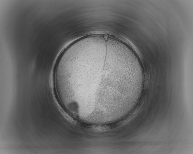 X0000111940795200908101201