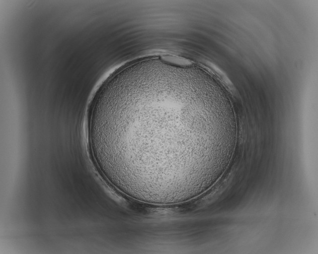 X0000111940796200908101201