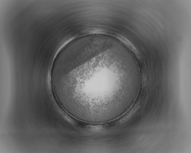 X0000111940798200908101201