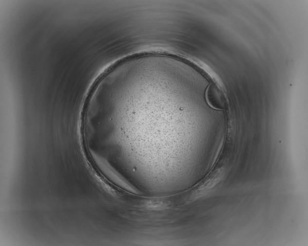 X0000111940799200908101201