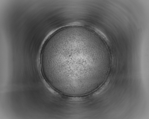 X0000111940800200908101201