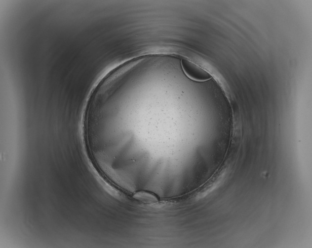 X0000111940803200908101201