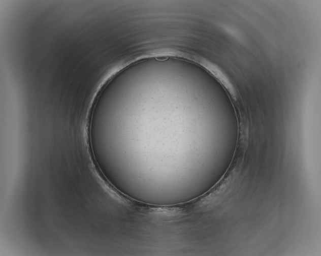 X0000111940805200908101201