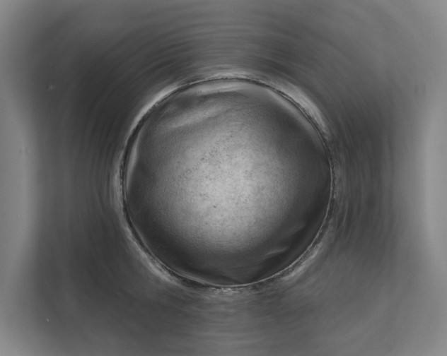 X0000111940806200908101201