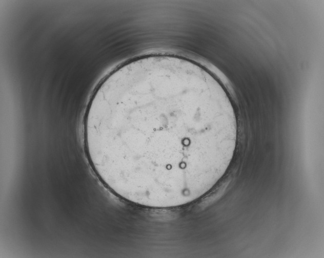 X0000111940807200908101201